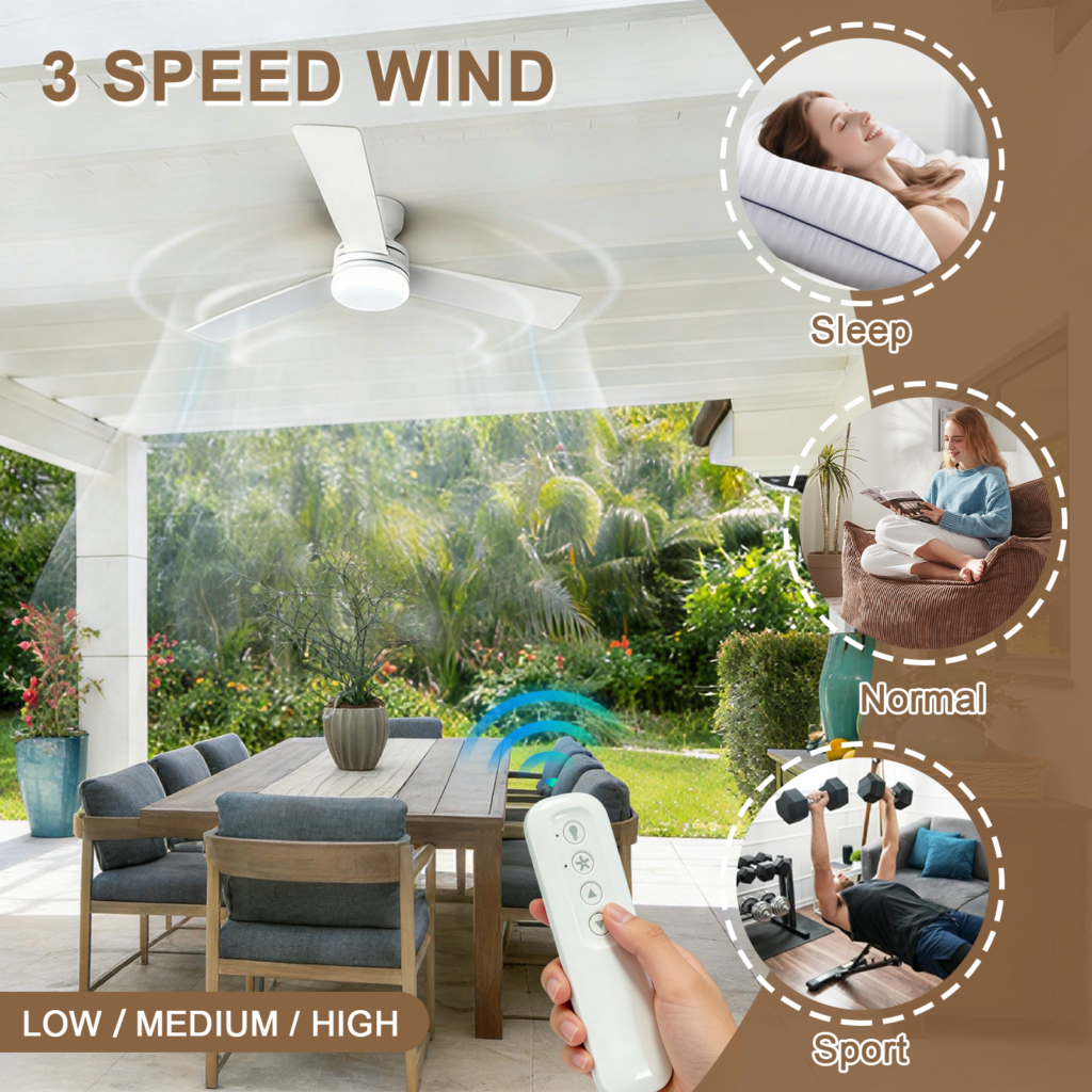 ceiling fan remote
